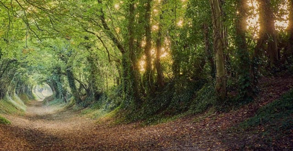 A sunken road? Roman but not from Norfolk.